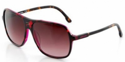  brown shaded/havana fuchsia