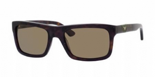  brown polarized/dark havana