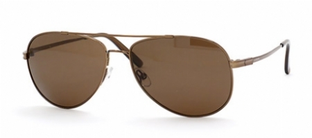  brown polarized/shiny bronze