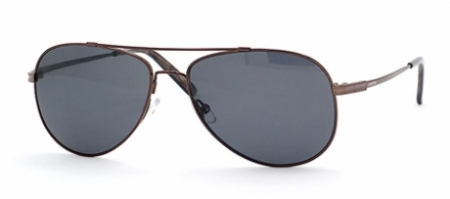  gray polarized/shiny gunmetal