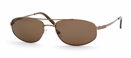  brown polarized/shiny bronze