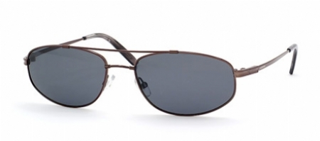  gray polarized/shiny gunmetal