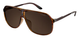  bronze polarized/havana brown