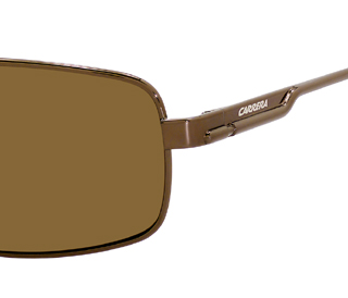  brown polarized/shiny bronze