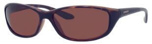  brown polarized/tortoise