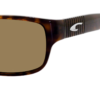  brown polarized/tortoise