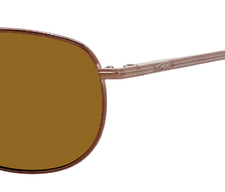  brown polarized/shiny bronze