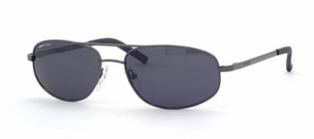  gray polarized/shiny gunmetal