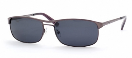  shiny gunmetal/gray polarized