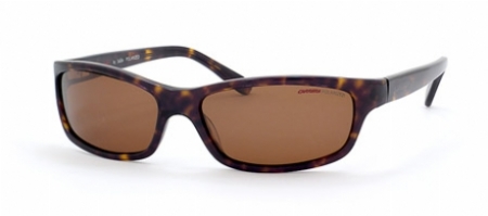  tortoise/brown polarized