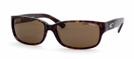  brown polarized/tortoise