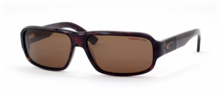  tortoise/ brown polarized