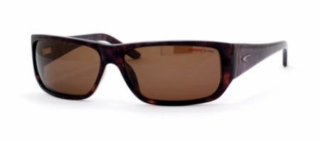  tortoise/ brown polarized