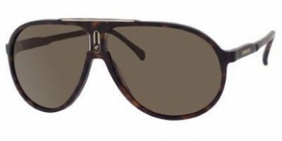  brown polarized/dark havana