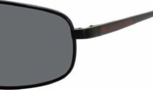  gray polarized/black semi shiny