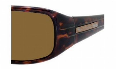  tortoise/brown polarized