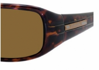  brown polarized/tortoise