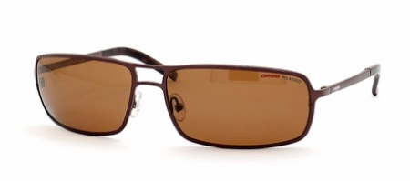  brown/brown polarized