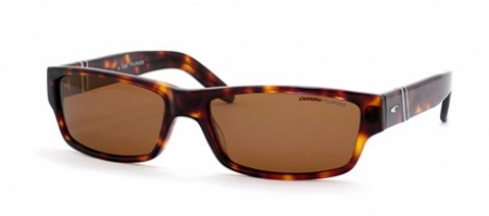  dark tortoise/brown polarized