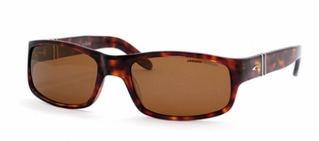  dark tortoise/brown polarized