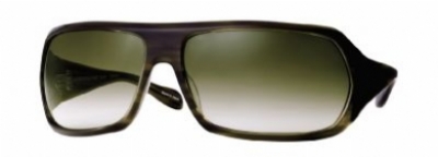  gray polarized/olive tortoise