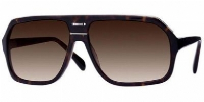  as shown/362 brown gradient lens