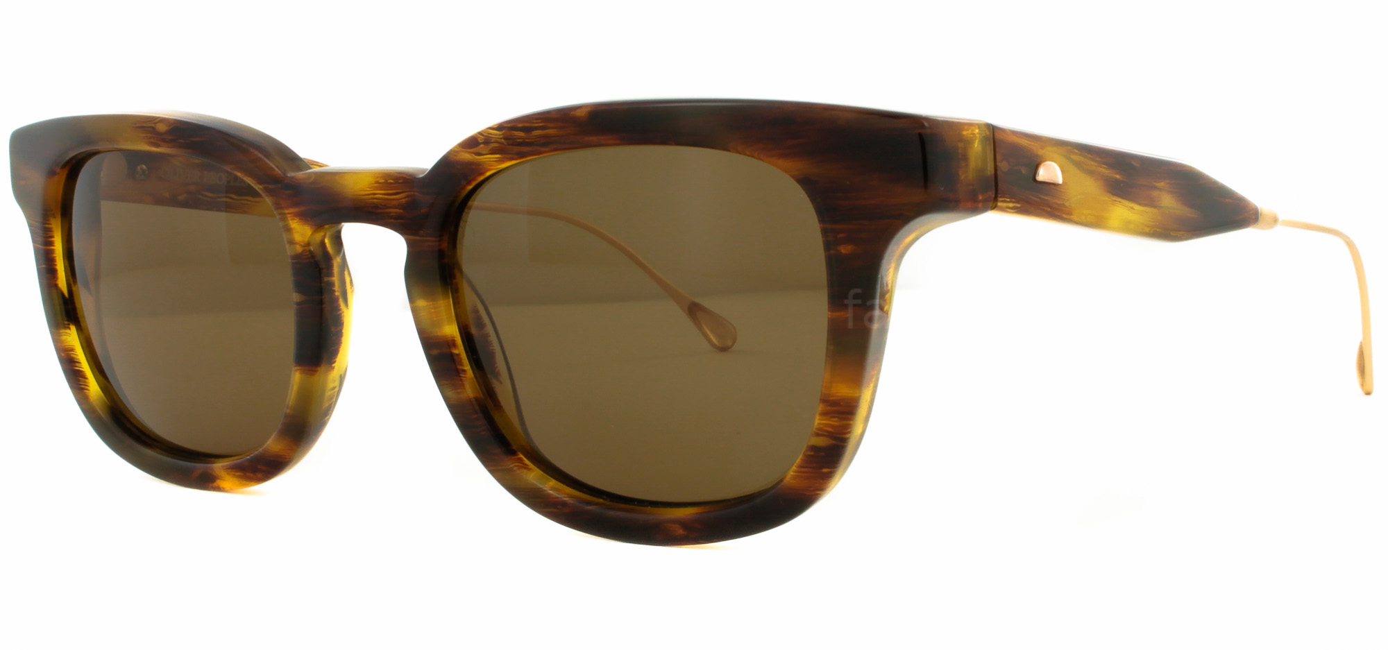  light tortoise/ polarised canyon