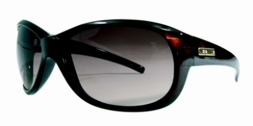  bronze polarized/oyster