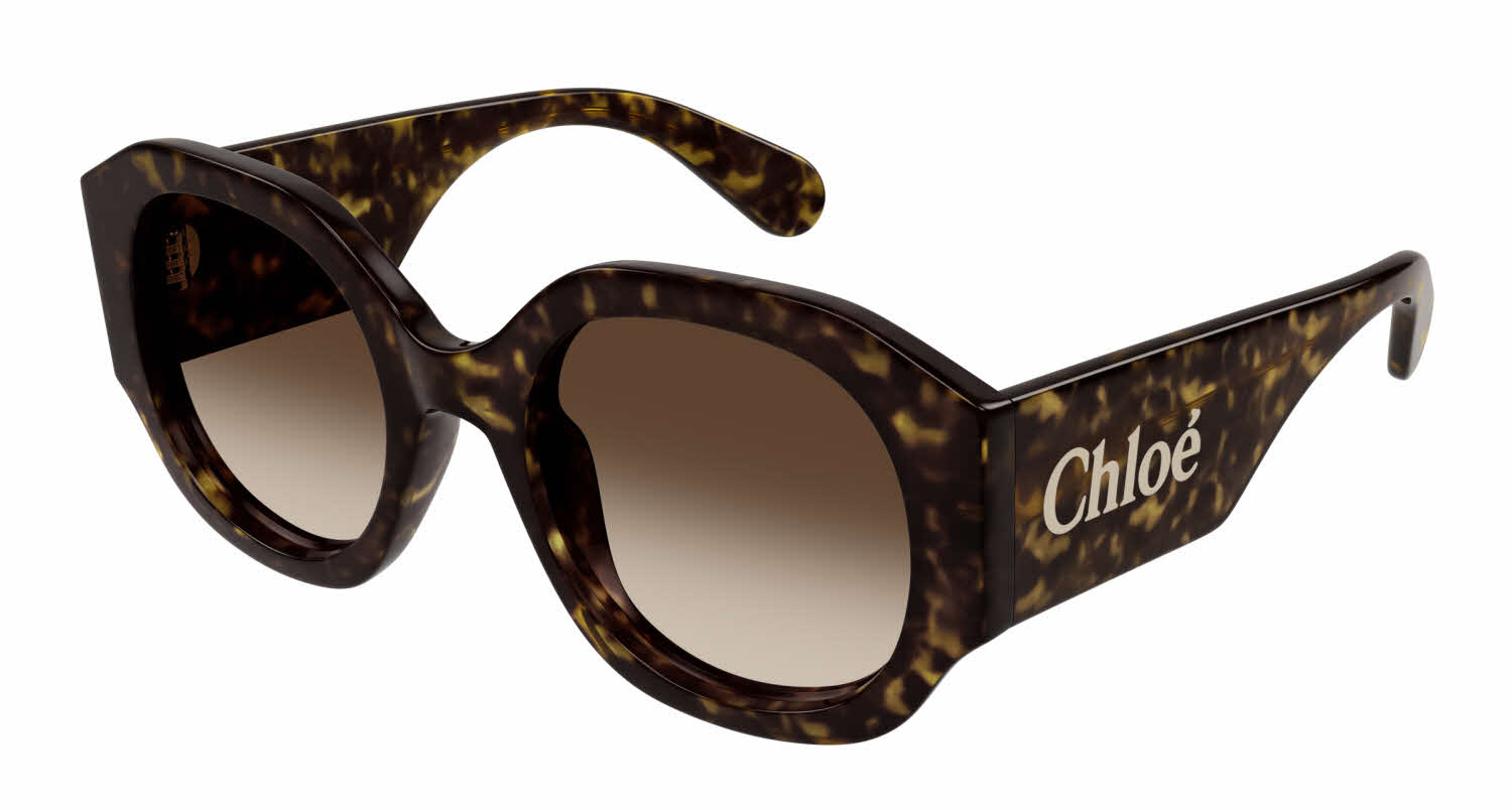  tortoise brown/tortoise brown