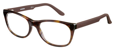  clear/dark havana / brown