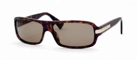  dark havana shiny light gold/brown polarized