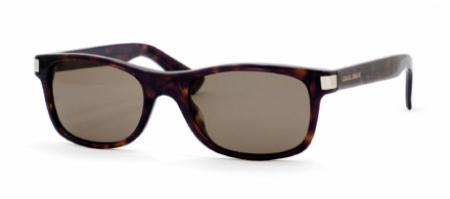  brown polarized/dark havana