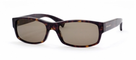  brown polarized/dark havana