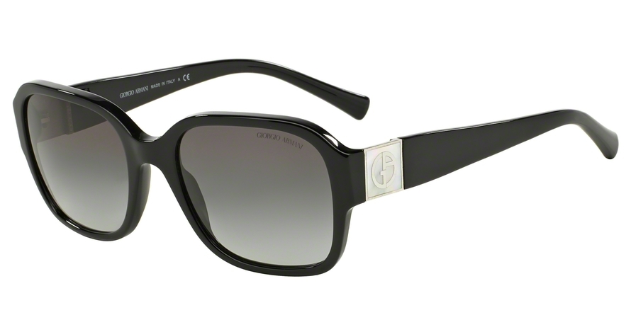 GIORGIO ARMANI 8022H