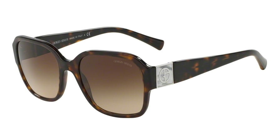 GIORGIO ARMANI 8022H 502613