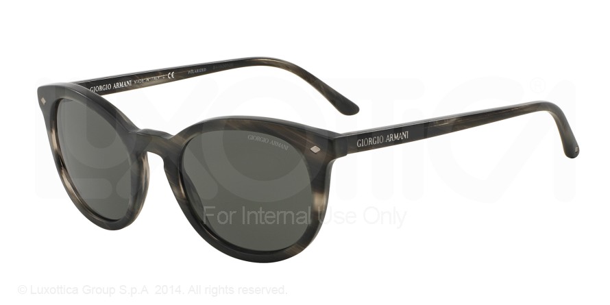 GIORGIO ARMANI 8060F 540358