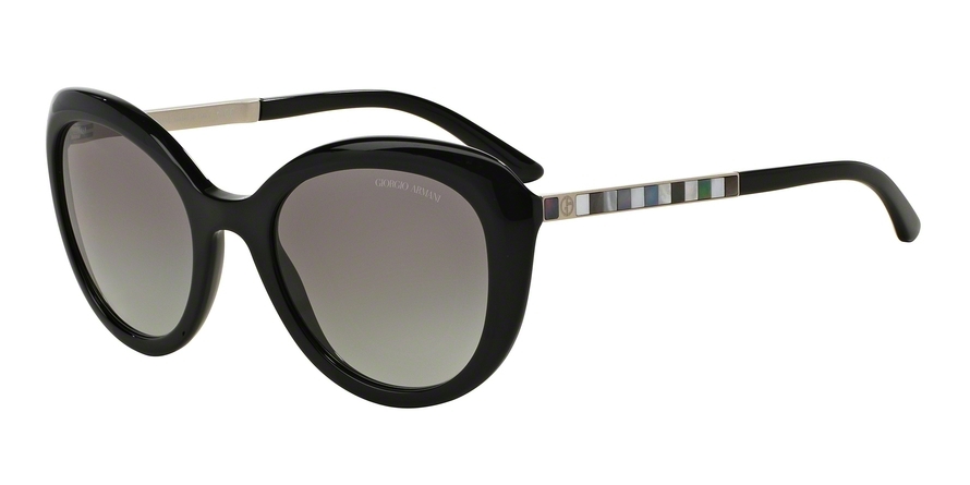 GIORGIO ARMANI 8065HF 501711