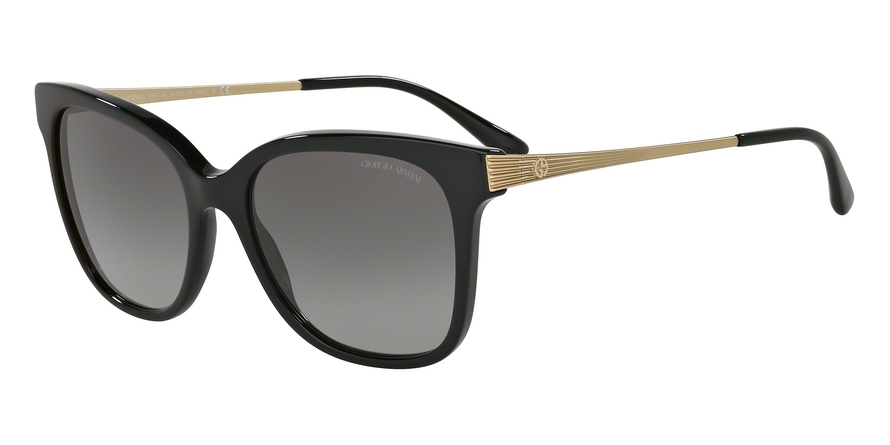 GIORGIO ARMANI 8074F 501711