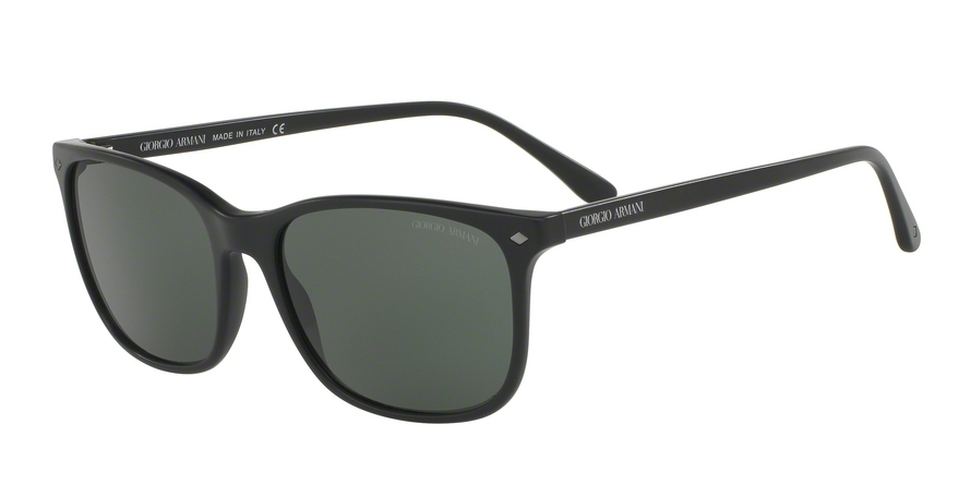 GIORGIO ARMANI 8089F