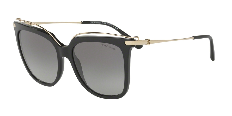 GIORGIO ARMANI 8091F 501711