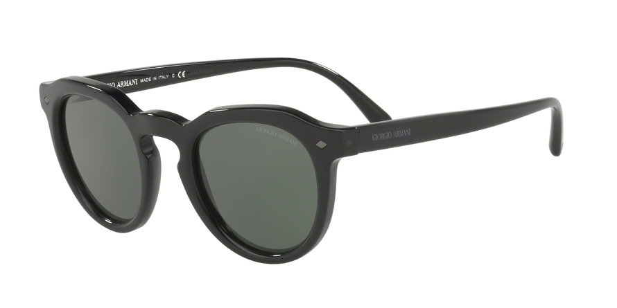 GIORGIO ARMANI 8093F 501731