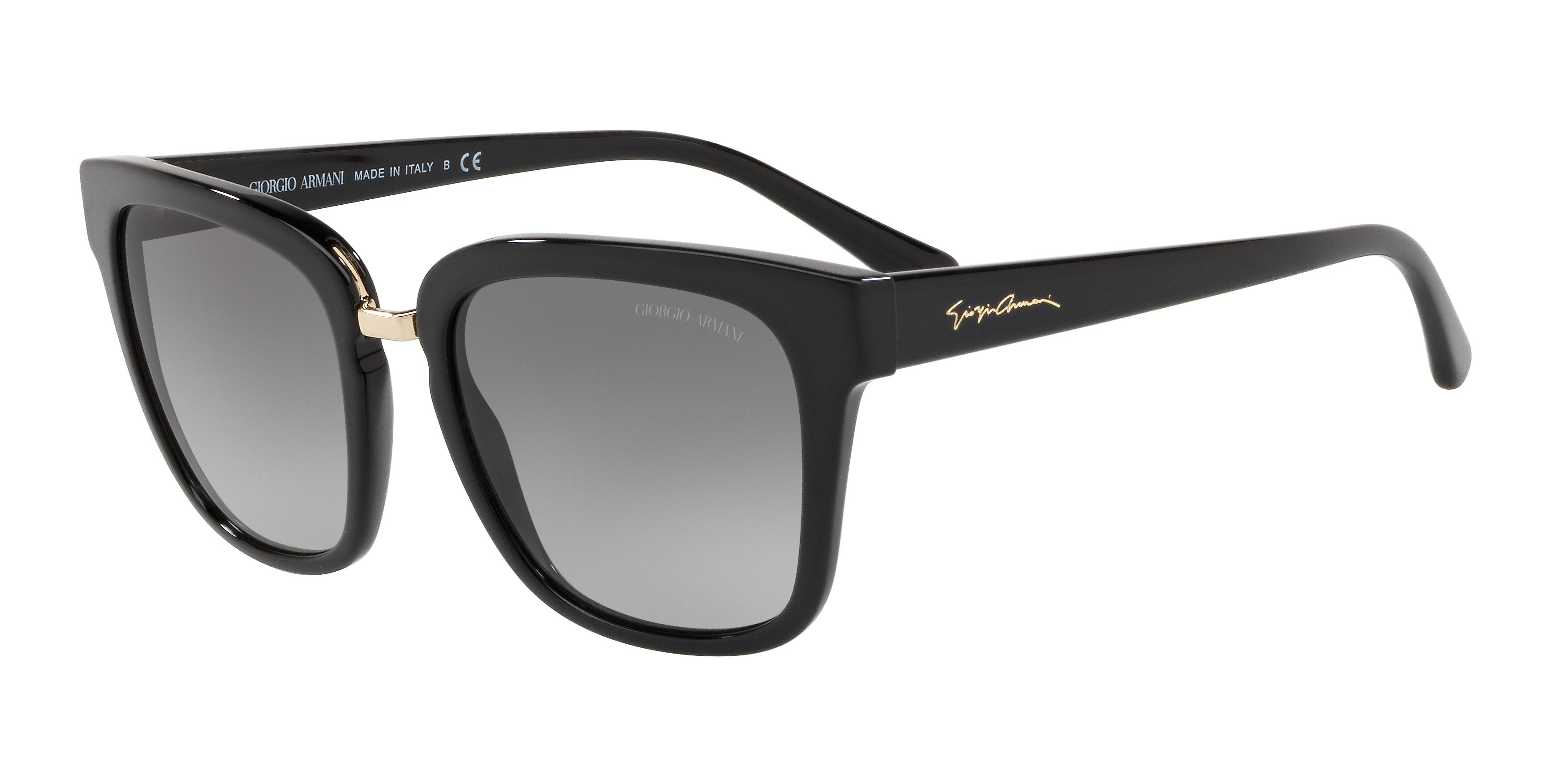 GIORGIO ARMANI 8106 500111