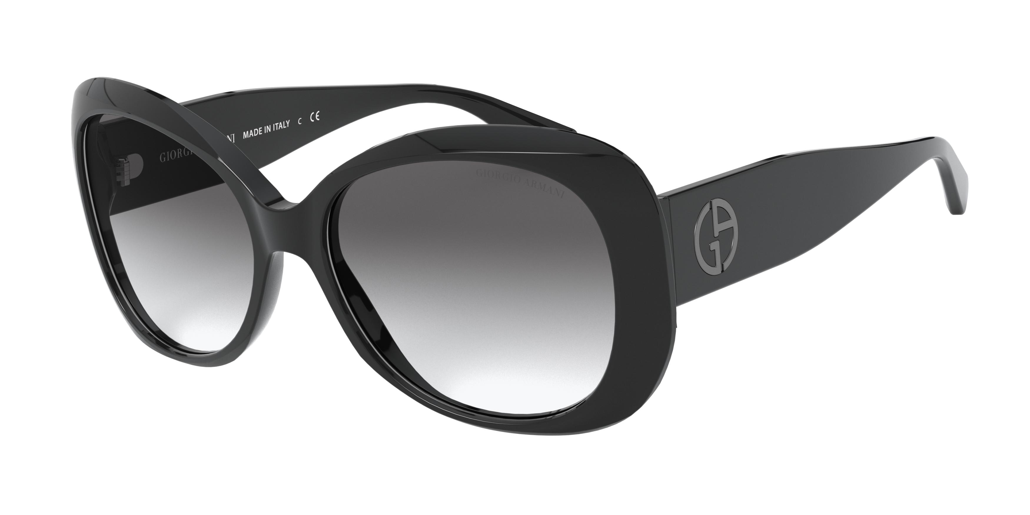 GIORGIO ARMANI 8132 500111