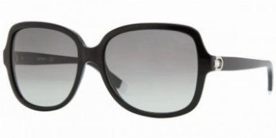 DKNY 4078B