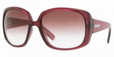 DKNY 4079