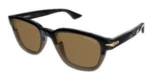 MONT BLANC MB0302S 08
