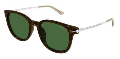  silver size 55/havana