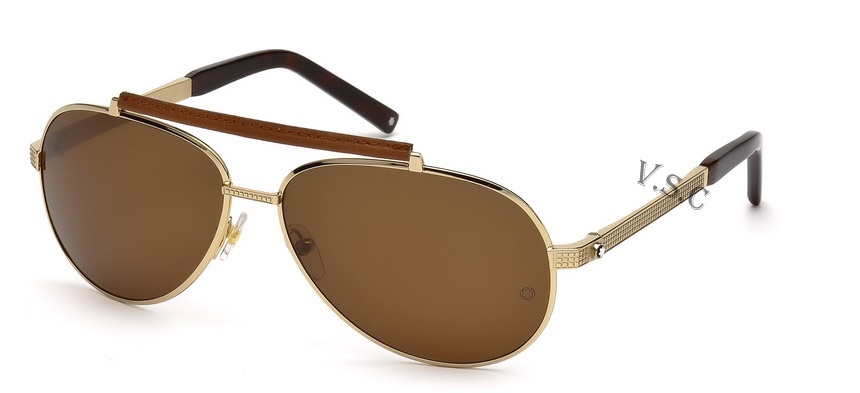  roviex polarized/gold