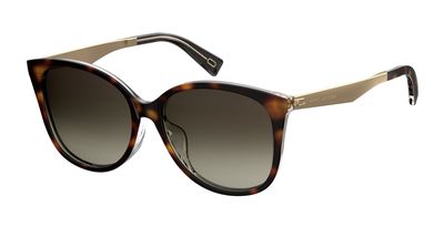  brown gradient/dark havana