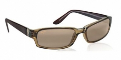  hcl bronze polarized/light brown